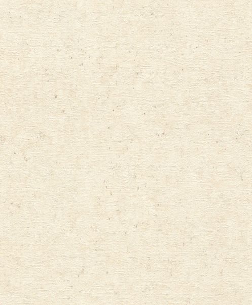 Rasch Vliestapete 520835 Beige-Greige Uni 10,05 m x 0,53 m