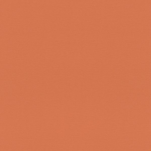 Rasch Vliestapete 687569 Orange-Orange dunkel Uni 10,05 m x 0,53 m