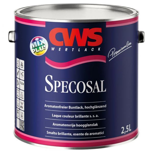 CWS WERTLACK Specosal Buntlack AF