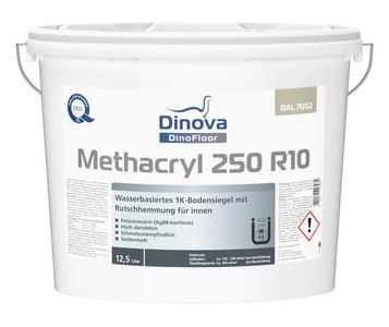 Dinova Methacryl 250 R10